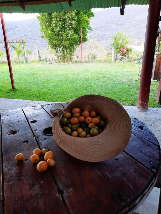 La Cabana De Blanca Jalpan Bagian luar foto
