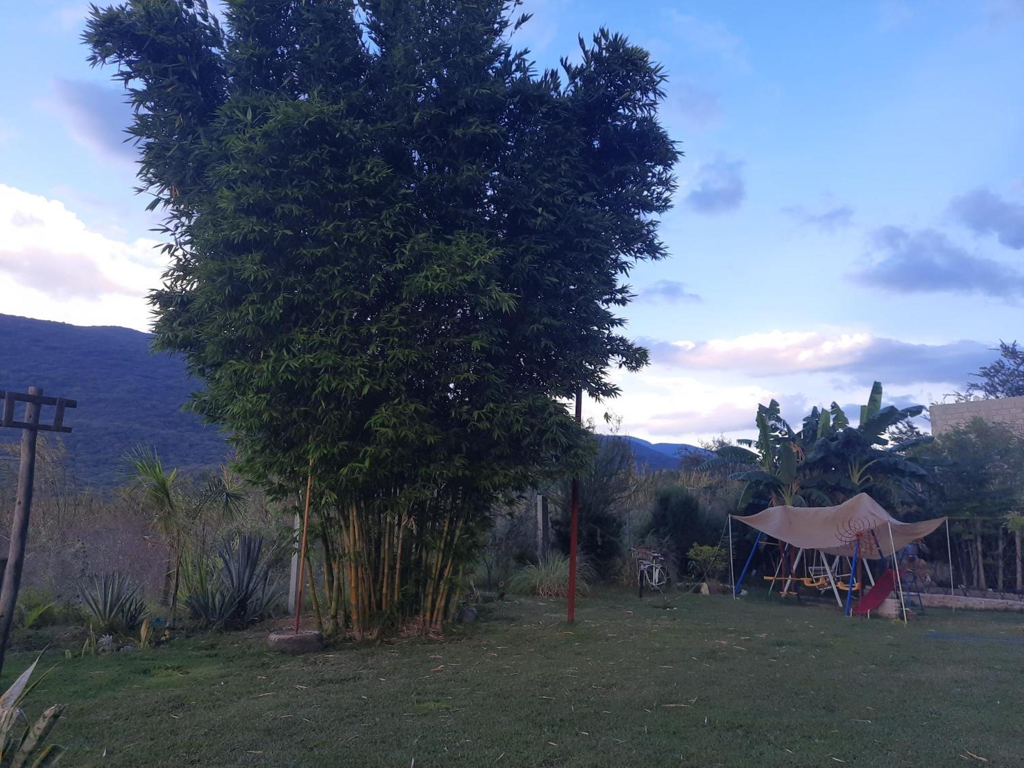 La Cabana De Blanca Jalpan Ruang foto